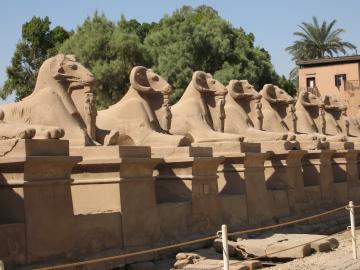 Row of sphinxes at the temple of Karnak
