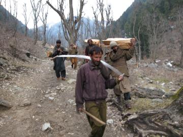 Loggers returning in the Himalayas