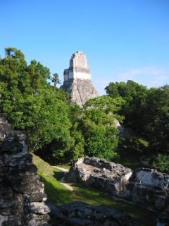Temple above jungle in Tikal, Guatemala