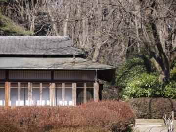 Meiji Jingu garden in Tokyo